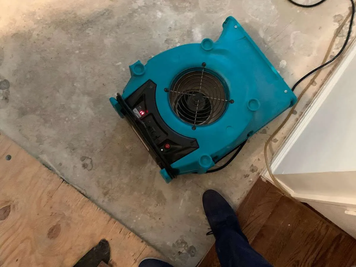 Air mover drying subfloor during Commercial Water Damage Restoration in Clarks Summit